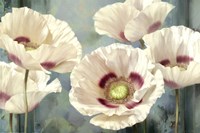 Tasmanian Poppies I Fine Art Print