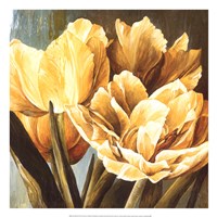 20" x 20" Tulip Art