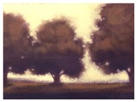 Calm Meadow II Fine Art Print