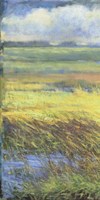 Shimmering Marsh I Fine Art Print