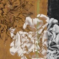 Bloom Illusion II Framed Print