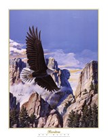 (Freedom) Eagle in Flight by Don Balke - 22" x 28"