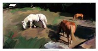 Guilford Horses I Fine Art Print