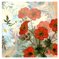 Summer Poppies II by R. Collier-Morales - 17" x 17"