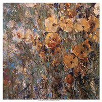 Amber Poppy Field I by Timothy O'Toole - 19" x 19"