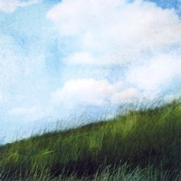 Bright Field II by Ingrid Blixt - various sizes - $25.49