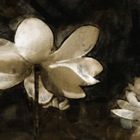 Bronze Lily II Fine Art Print