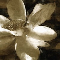 Bronze Lily III Fine Art Print