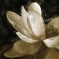 Bronze Lily V Fine Art Print