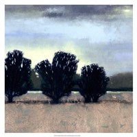 Moonlit Field II Fine Art Print