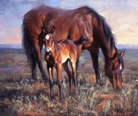 The Bay Filly Fine Art Print