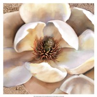 Magnolia Masterpiece II Framed Print