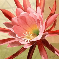 Desert Bloom I Fine Art Print