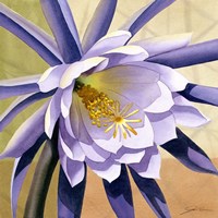 Desert Bloom II Fine Art Print