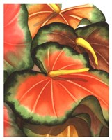 Anthuria II Fine Art Print