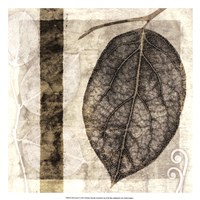 Fall Leaves I by Christine Zalewski - 17" x 17"