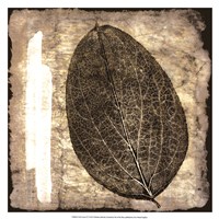 Fall Leaves IV by Christine Zalewski - 17" x 17"