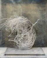 Desert Form I Fine Art Print