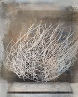 Desert Form V Fine Art Print