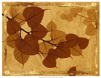 Ghost Leaves I Fine Art Print