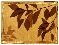 Ghost Leaves II Fine Art Print