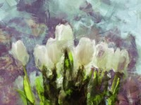 Sunlit Tulips II Fine Art Print