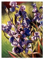 Iris Garden I Framed Print