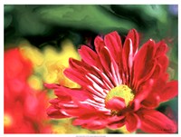 Painterly Flower VI Fine Art Print