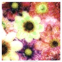 Floral Reef I Fine Art Print