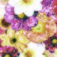 Floral Reef II Fine Art Print