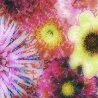 Floral Reef III Fine Art Print
