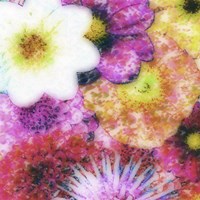 Floral Reef IV Fine Art Print