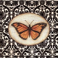 Fanciful Butterfly I Fine Art Print