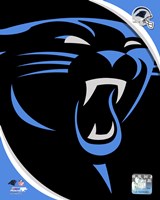 Carolina Panthers 2012 Team Logo Framed Print