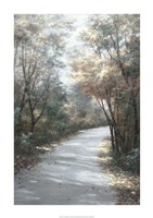 Shades of Autumn by Diane Romanello - 24" x 34"