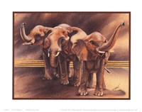 Family of Elephants Fine Art Print