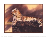 Lounging Leopard Fine Art Print
