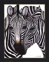 Zebras Fine Art Print