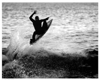 Airborne Fine Art Print