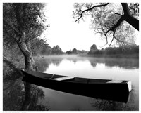 Tranquil Morning Fine Art Print