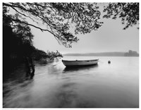 Breezy Morning Fine Art Print