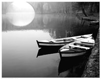 Moonlit Morning Fine Art Print