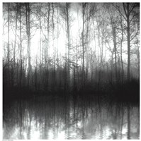 Forest Mist Fine Art Print