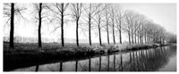 Trees Along the Canal Fine Art Print