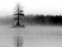 Sunrise Reflections I Fine Art Print