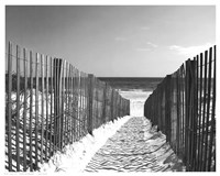 Coastal Path Fine Art Print