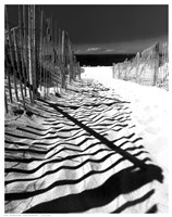 Shadowed Pathway Fine Art Print