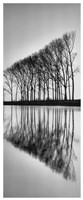 Reflections Fine Art Print