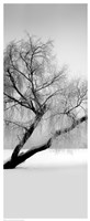 Solitude Fine Art Print