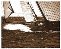 Running with the Wind Fine Art Print